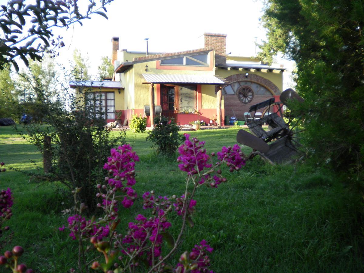 Posada De Campo Mamull Mapu Rancul المظهر الخارجي الصورة